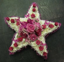 Pink Rose Star